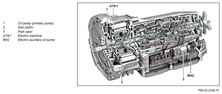 G12817011