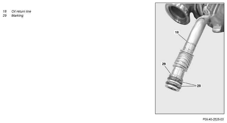 G12817077