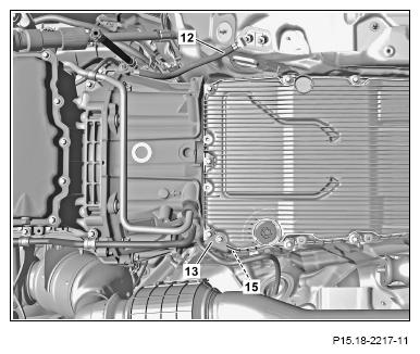G12817194