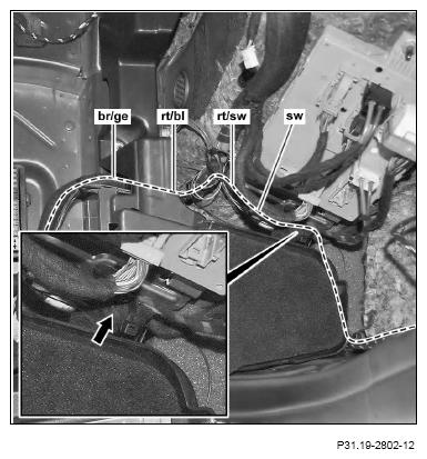 G12817575