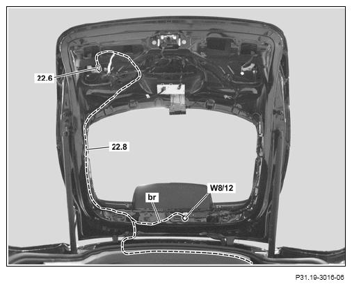 G12817584