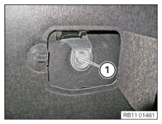 G12818681