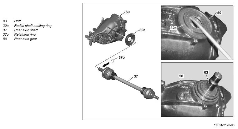 G12819628