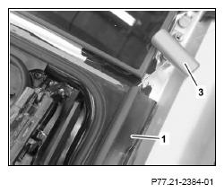 G12824393