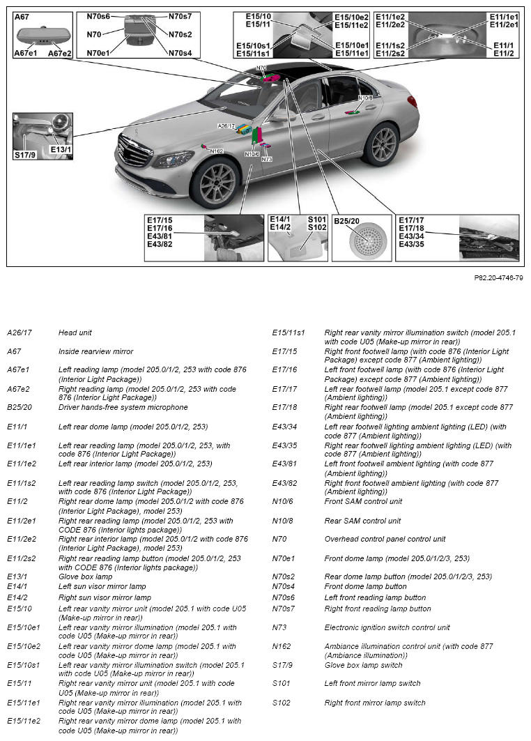 G12824476