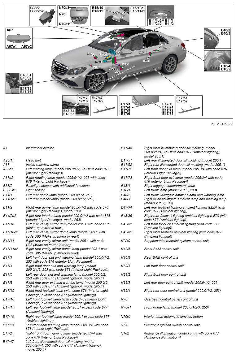 G12824479