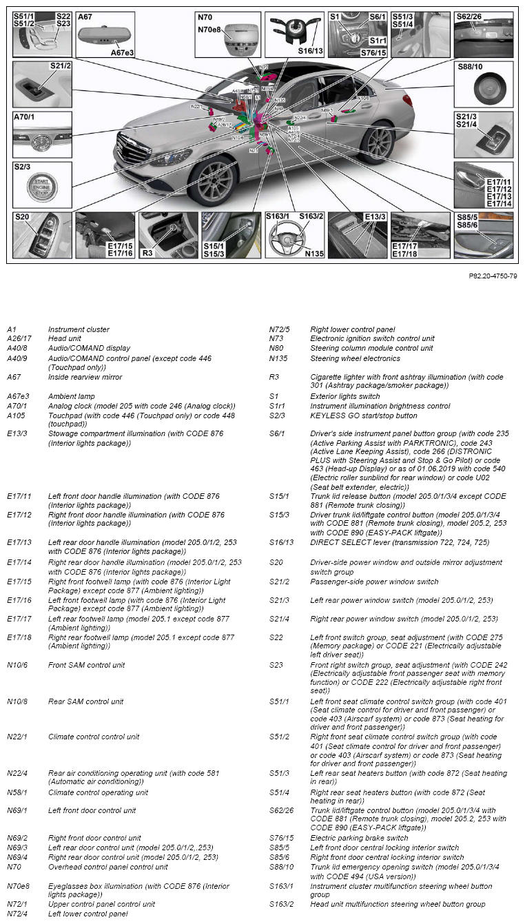 G12824480