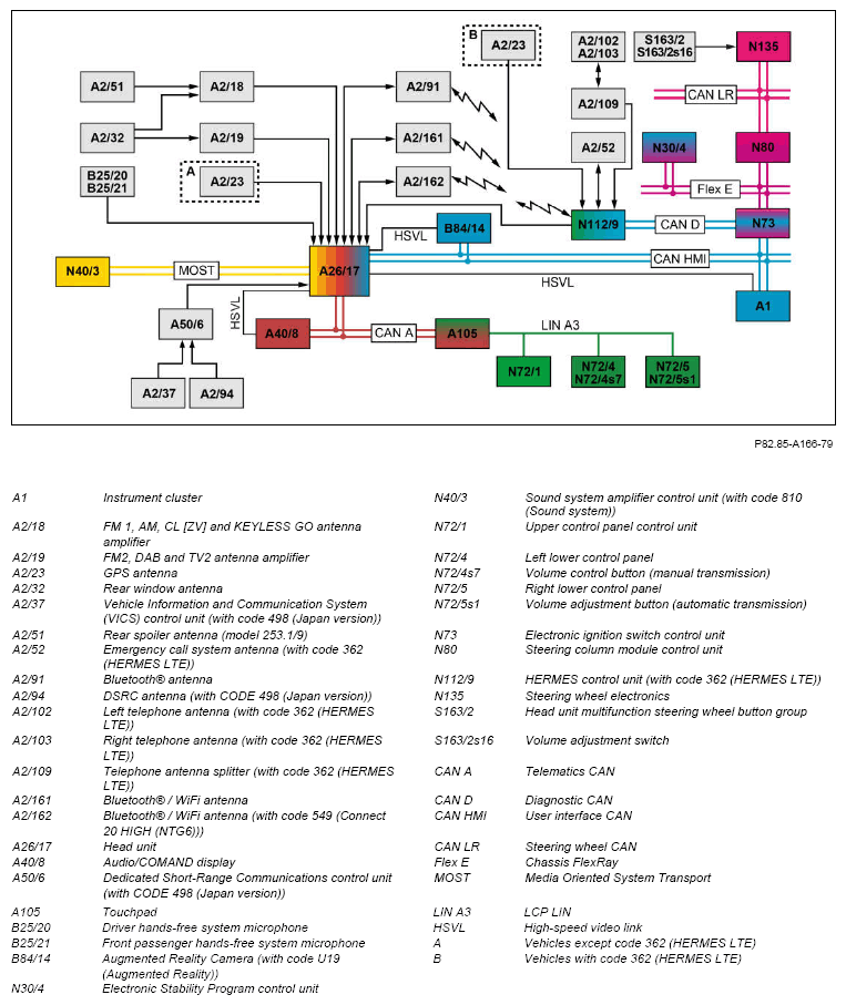 G12824497