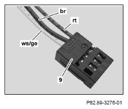 G12824582