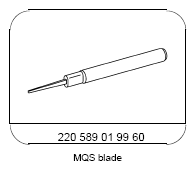 G12824586