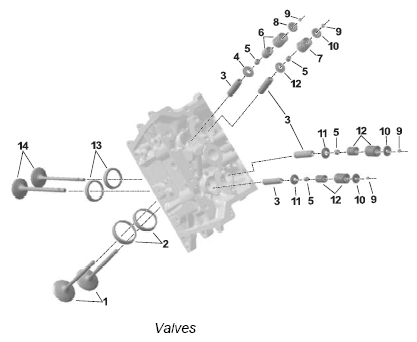 G12833148