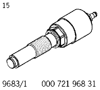 G12833363