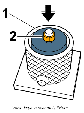 G12833434