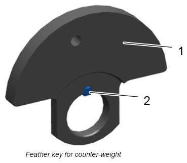 G12833496