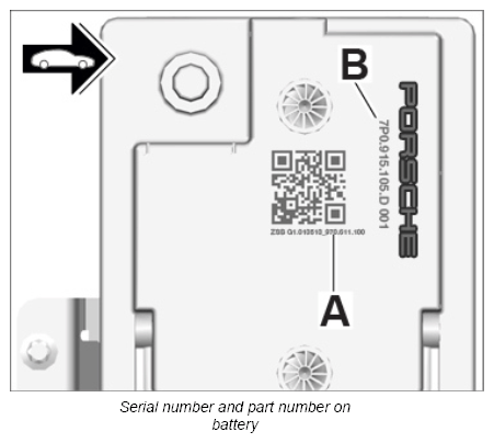 G12833894