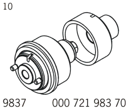 G12834013