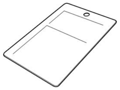 G12834015