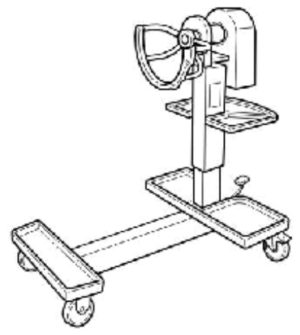 G12834155