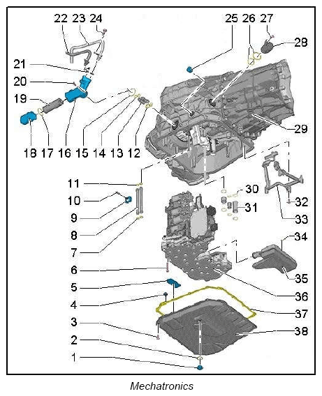 G12834295