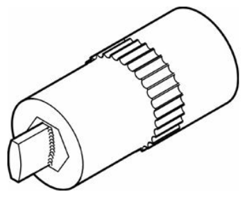G12834493