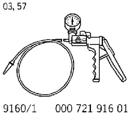 G12834793