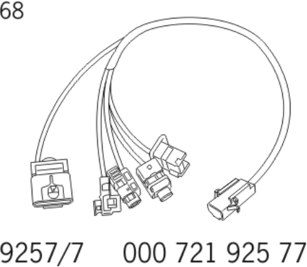 G12835263
