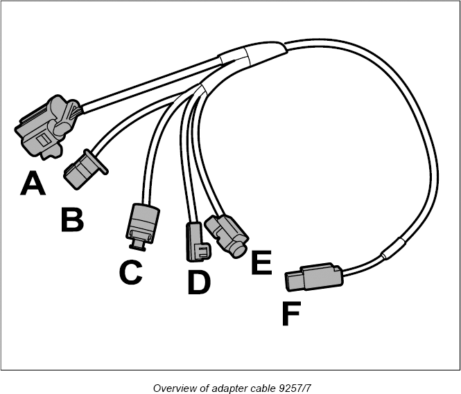 G12835279