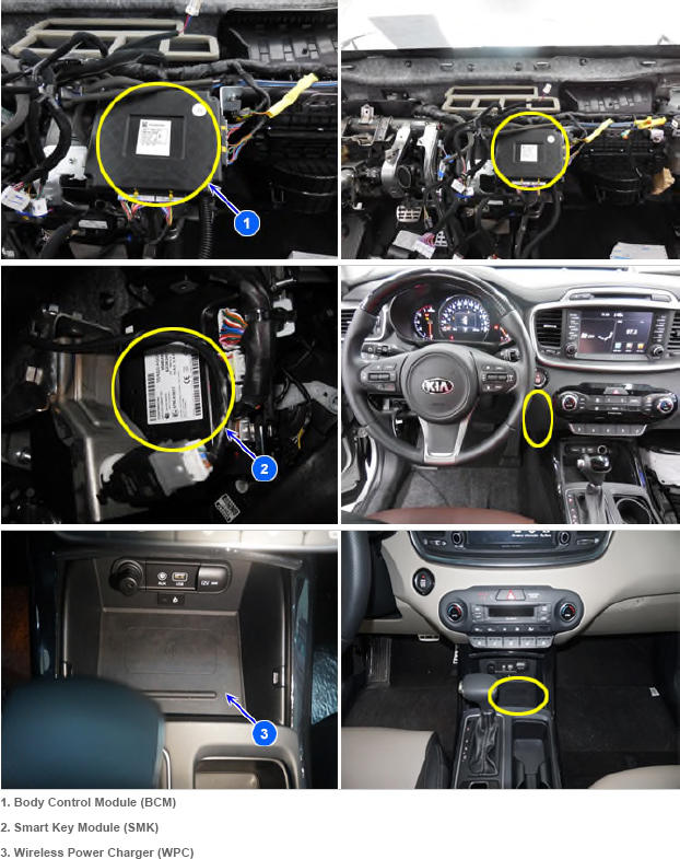 G12846371
