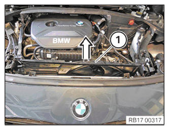 G12887695
