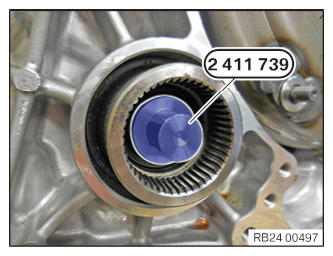 G12887881