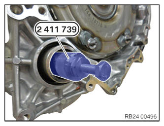 G12887882