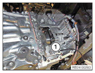 G12887904