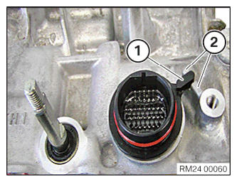 G12887908