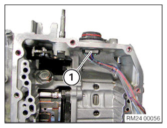 G12887909