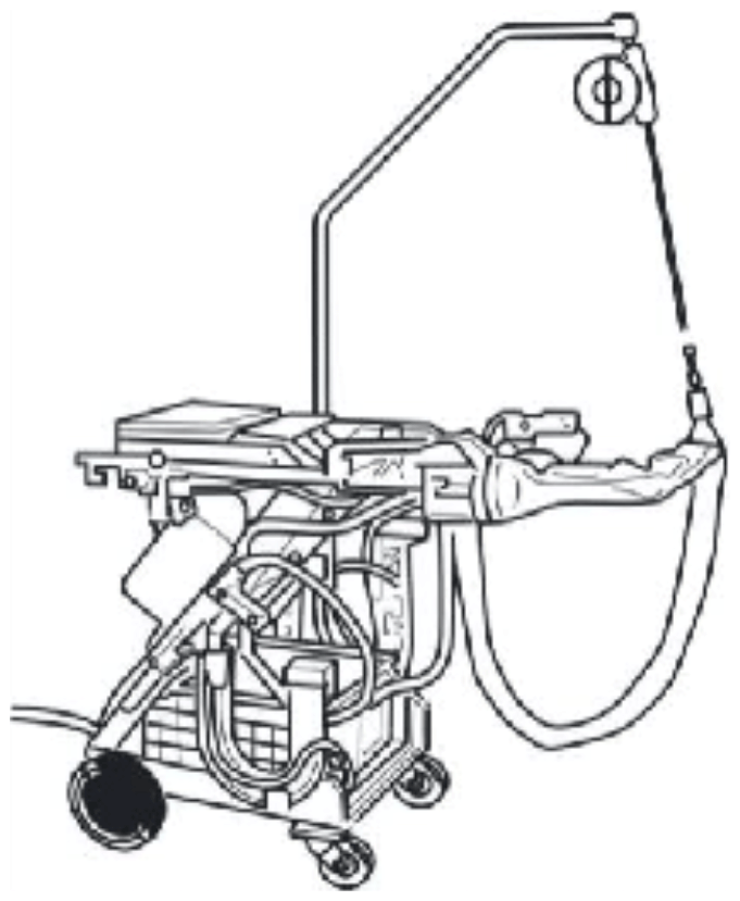 G12888929
