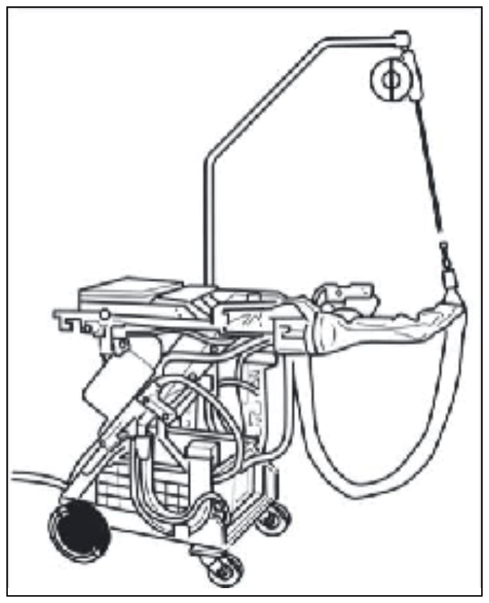 G12889111