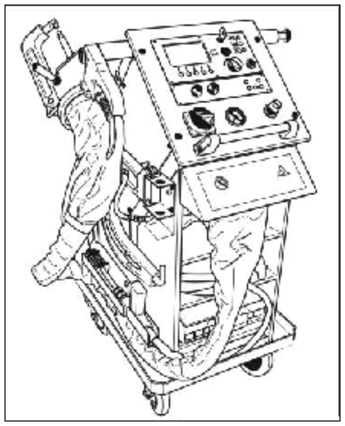 G12889329