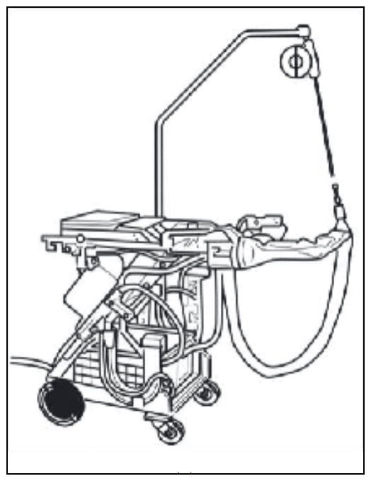G12889441