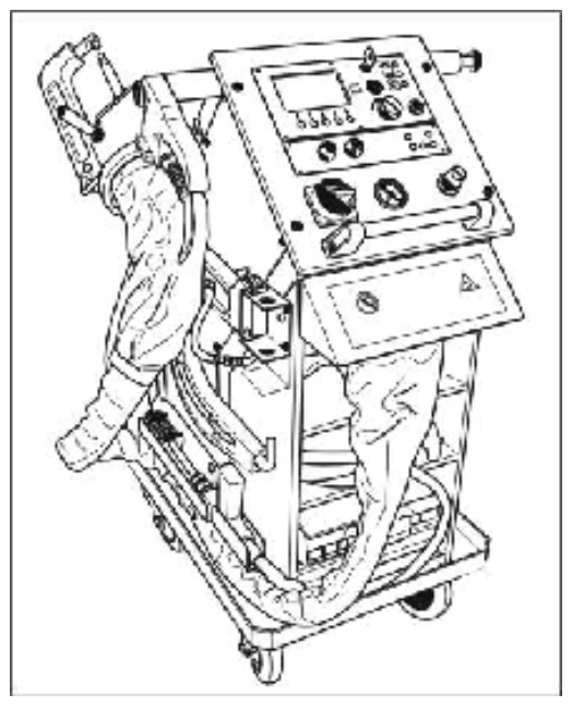 G12893348