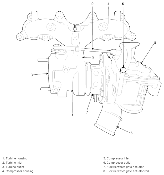 G12914986