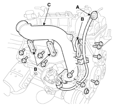 G12914989