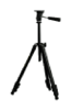 G12922084