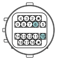 G12922546