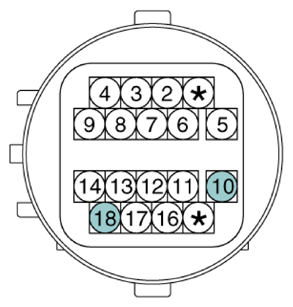 G12922611