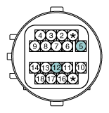 G12922624
