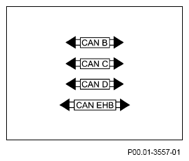 G12923449