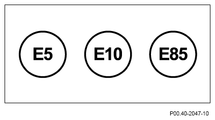 G12923880
