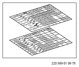 G12924196