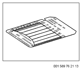 G12930061
