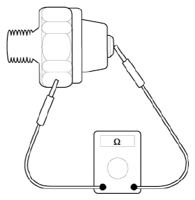 G12932524